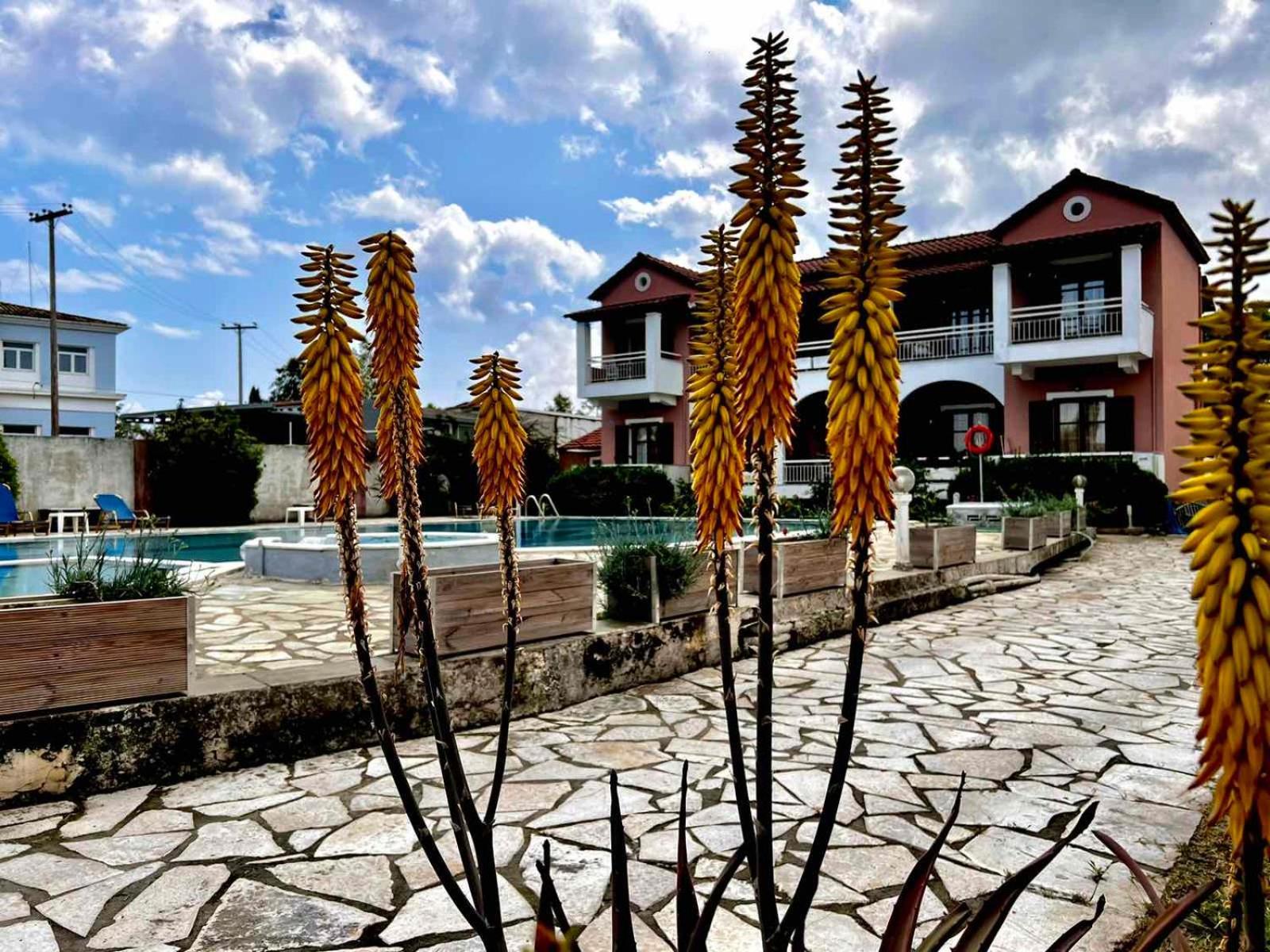 Apartament Angela Corfu Potamós Zewnętrze zdjęcie