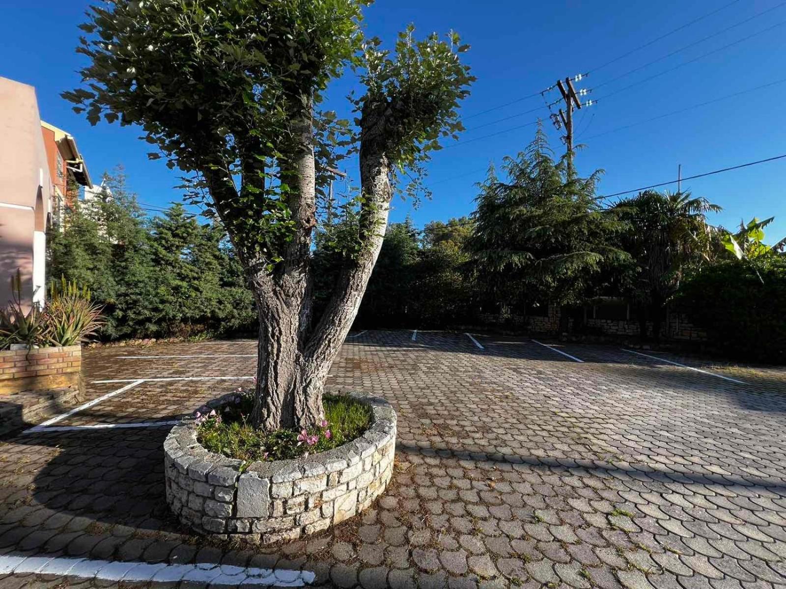 Apartament Angela Corfu Potamós Zewnętrze zdjęcie